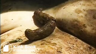 video (14)