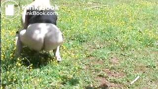 diese geile sau