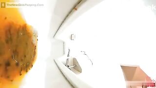 broken toilet 1