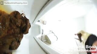 broken toilet 1