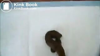 scat chicks
