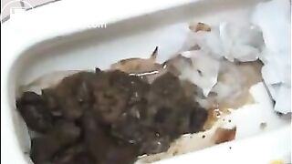 overloaded toilet