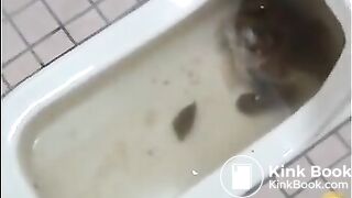 overloaded toilet