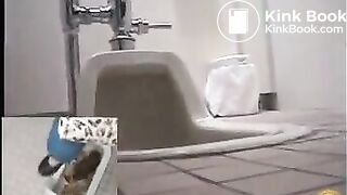 overloaded toilet