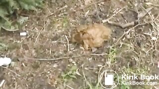 NSG Shitting in public parc