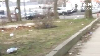 NSG Shitting in public parc