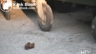 NSG blond perfect poubelle shit