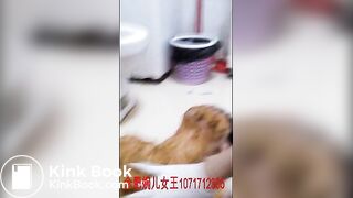 Chinese Scat