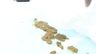 Scatreport 13