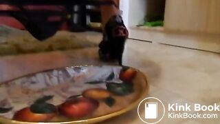 Shitting and Dirty Ass Play - scat porn at ThisVid tube