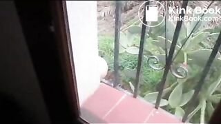 Under the window