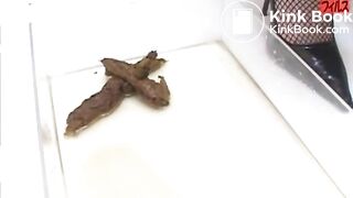 Amateur Lingerie Poop - Scene L