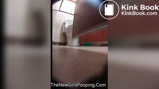 Asian Western Toilet Voyeur
