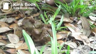 Outdoor poo