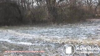 Poop on a frosty morning