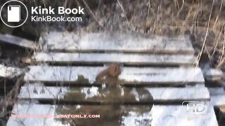 Poop on a frosty morning