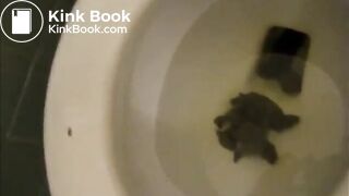 Ass On Toilet Views 2