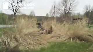 Pooping