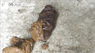 publicshit (1)