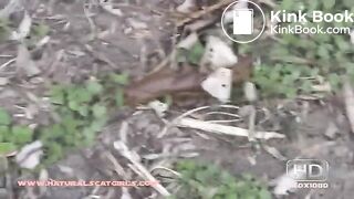 NSG nice brune very long pooping