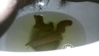 LARGE TURD INTO TOILET
