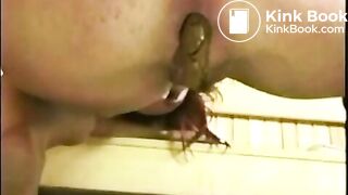 Amateur rear poo