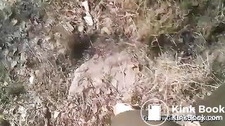 Gross Outhouse Poop