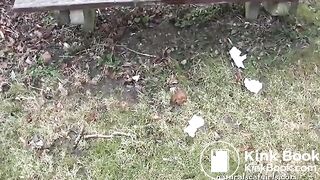 Girl shit and pissing on a bench by the stone wall - Pooping