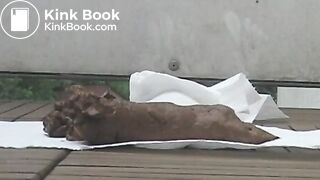 NSG big pied big scat