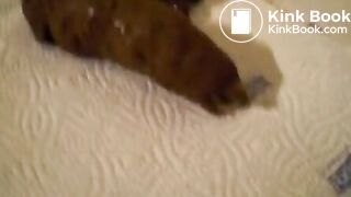 amateur floor poop