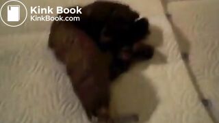 amateur floor poop