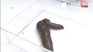 japanese beautiful sexy girl 9