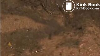 bath4-clip