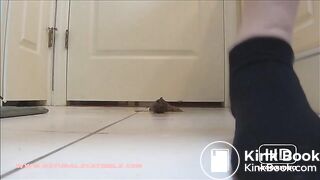 bathroom floor poop
