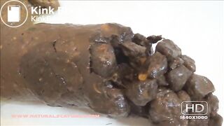 bathroom floor poop