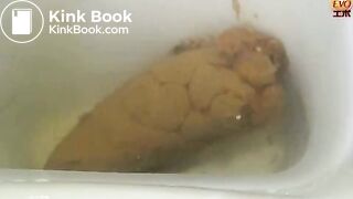 Spy cam amateur in toilet - Japanese E28 Hidden Toilet