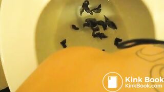 pee and poop 1