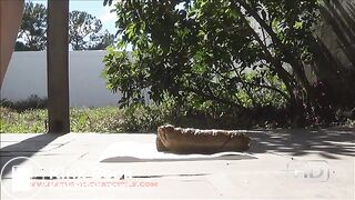 hot sexy poop on the patio