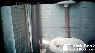 toilet squatting poop 3