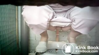 toilet squatting poop 3