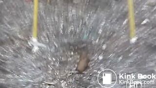 NSG shitting in chaise