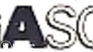 4058251