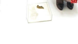 Amateur Lingerie Poop - Scene M