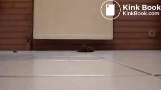 Down The Legs