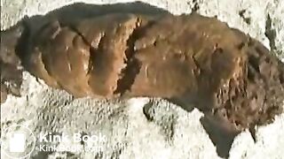 Babe pooping on a sandy beach