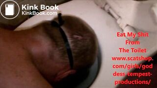 Eat My Shit From The Toilet SD