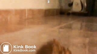 netpornnl    Two hot babes pooping