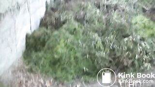 NSG nice brune small poop