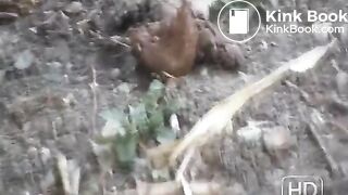 NSG nice brune small poop