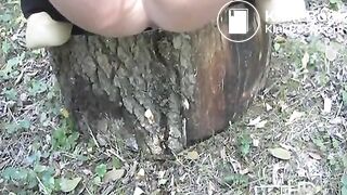 NSG pooping in tronc d arbre